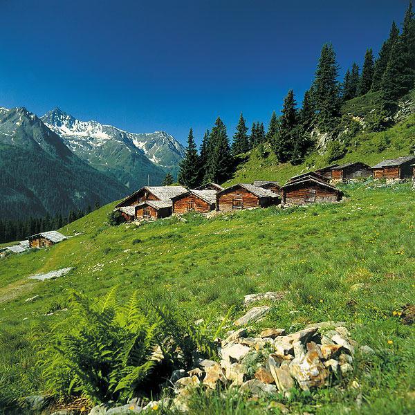 Alp Chalet Appartement Kappl  Extérieur photo